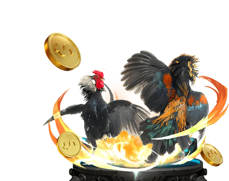 Các loại hình giải trí đa dạng tại nhà cái châu Âu